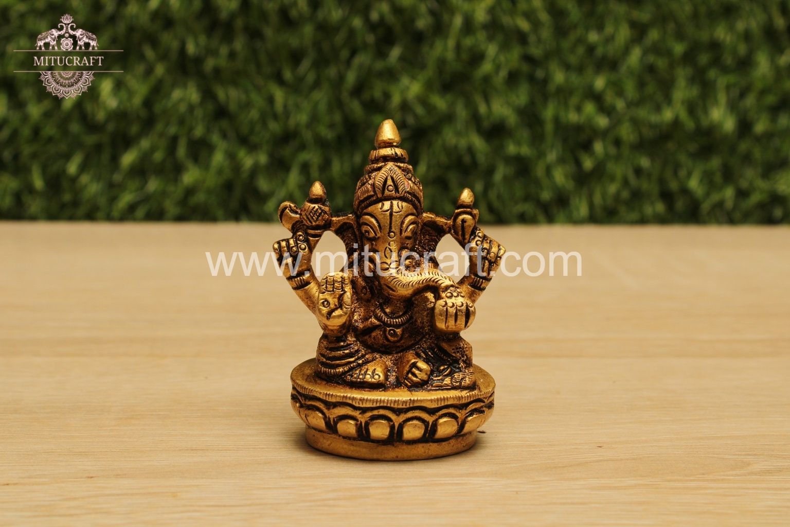 20250912005419_IMG_6681