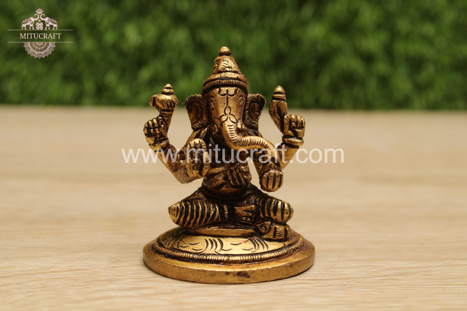 20250912031307_IMG_6925