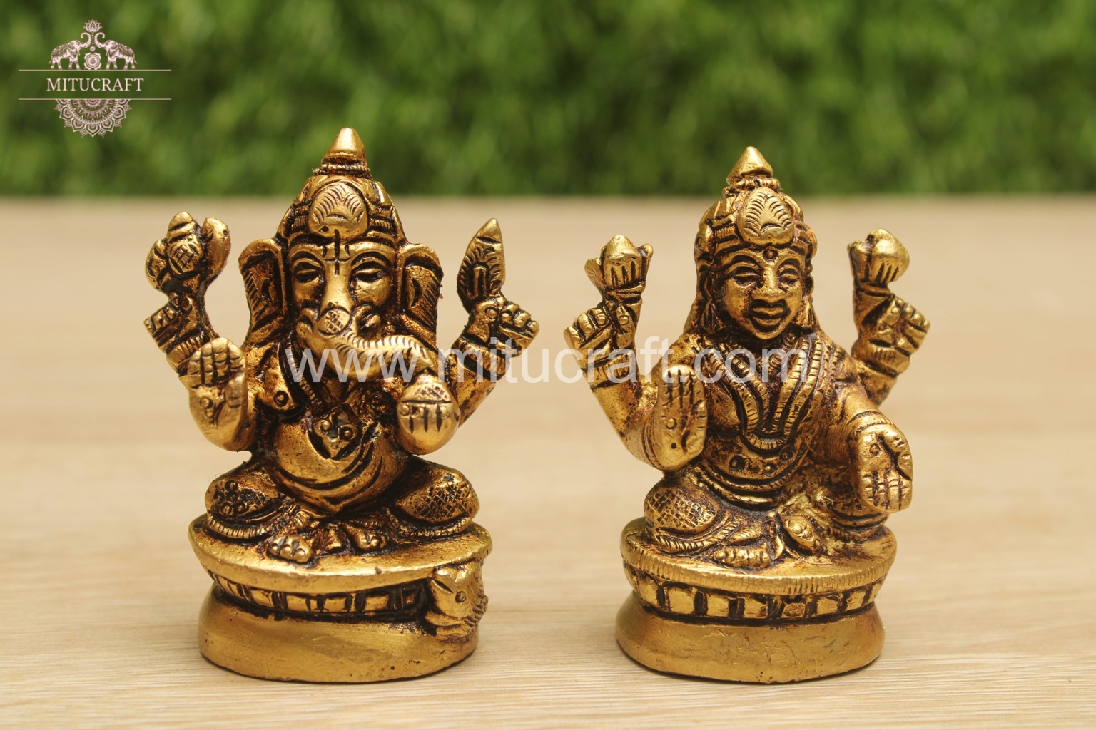 20250912041350_IMG_7052