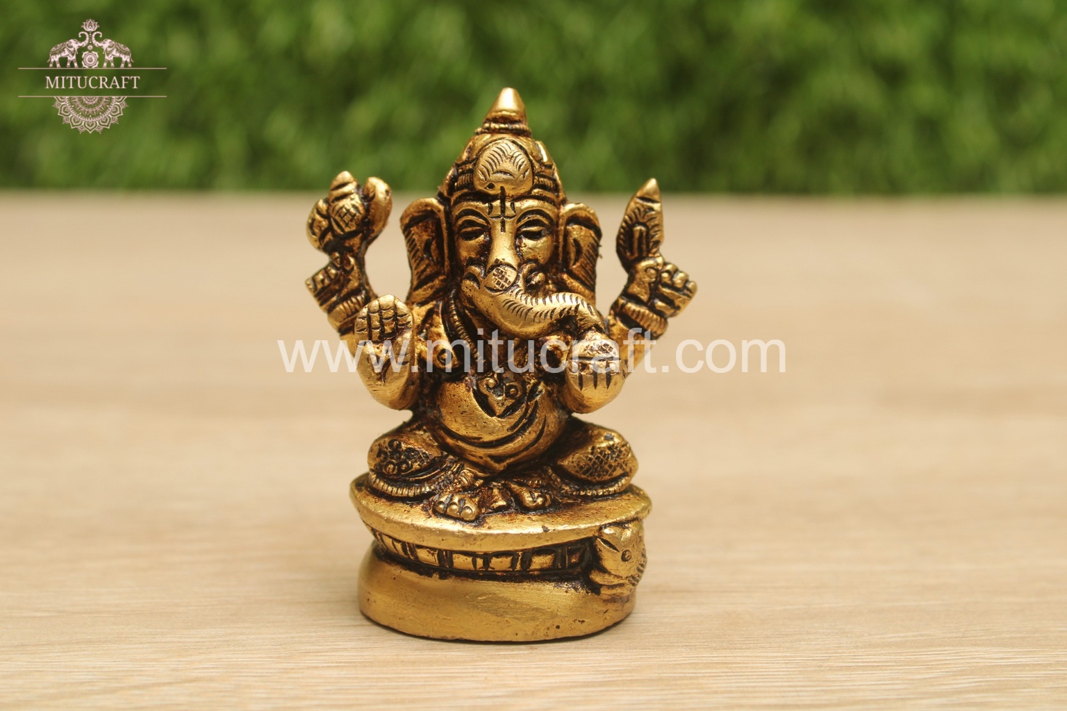 20250912041523_IMG_7057